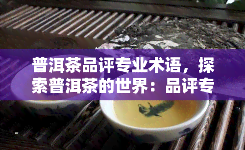 普洱茶品评专业术语，探索普洱茶的世界：品评专业术语解析