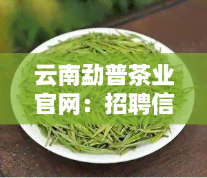 云南勐普茶业官网：招聘信息一览