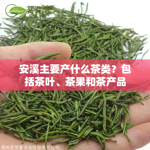 安溪主要产什么茶类？包括茶叶、茶果和茶产品