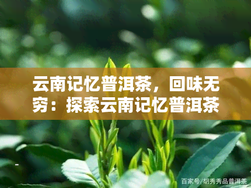 云南记忆普洱茶，回味无穷：探索云南记忆普洱茶的独特魅力