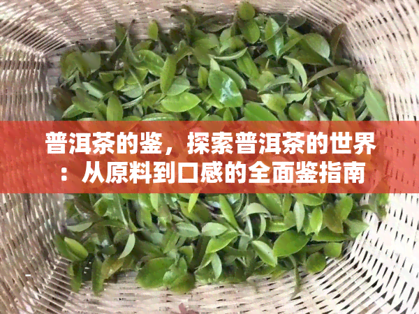 普洱茶的鉴，探索普洱茶的世界：从原料到口感的全面鉴指南