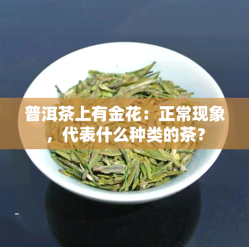 普洱茶上有金花：正常现象，代表什么种类的茶？