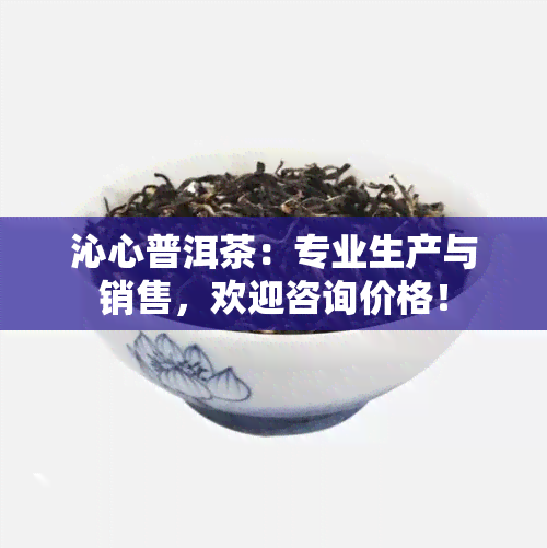 沁心普洱茶：专业生产与销售，欢迎咨询价格！