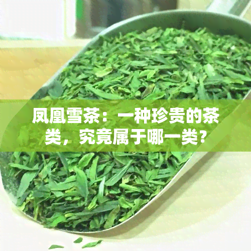 凤凰雪茶：一种珍贵的茶类，究竟属于哪一类？