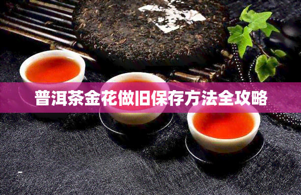 普洱茶金花做旧保存方法全攻略