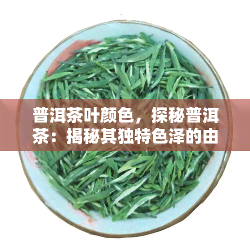 普洱茶叶颜色，探秘普洱茶：揭秘其独特色泽的由来与影响