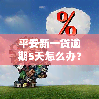 平安新一贷逾期5天怎么办？立即解决逾期问题！