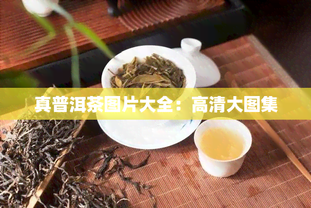 真普洱茶图片大全：高清大图集