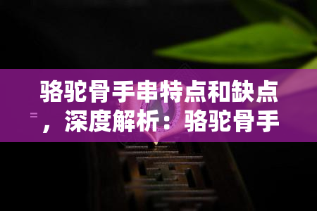 骆驼骨手串特点和缺点，深度解析：骆驼骨手串的特点与缺点