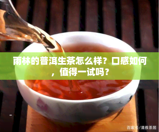 雨林的普洱生茶怎么样？口感如何，值得一试吗？