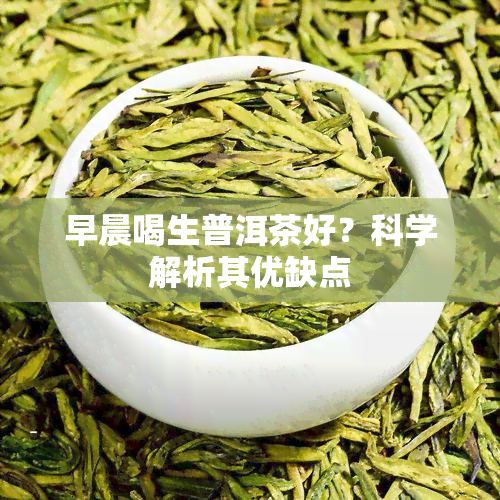 早晨喝生普洱茶好？科学解析其优缺点