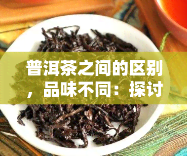 普洱茶之间的区别，品味不同：探讨普洱茶之间的区别