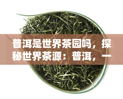 普洱是世界茶园吗，探秘世界茶源：普洱，一座被茶园环绕的城市