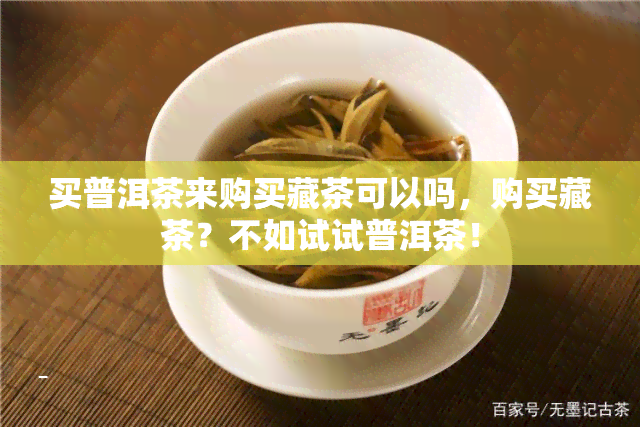 买普洱茶来购买藏茶可以吗，购买藏茶？不如试试普洱茶！