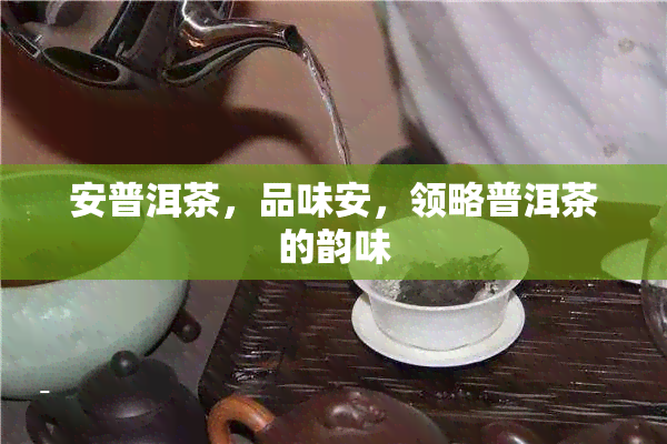 安普洱茶，品味安，领略普洱茶的韵味