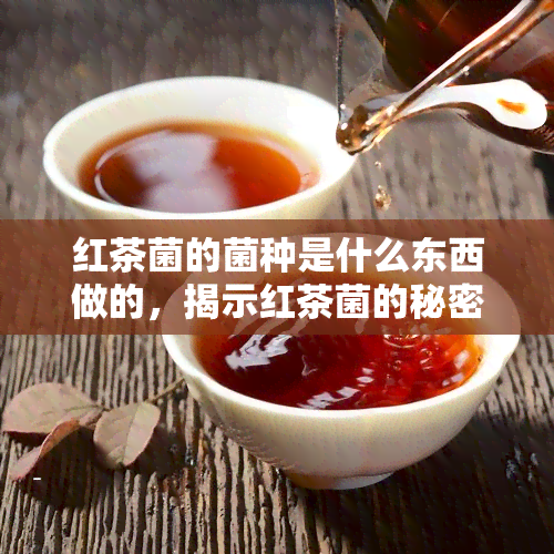 红茶菌的菌种是什么东西做的，揭示红茶菌的秘密：菌种究竟是由什么制成的？