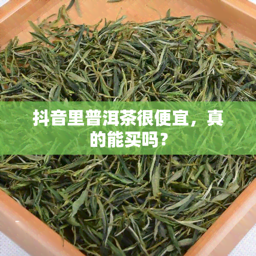 抖音里普洱茶很便宜，真的能买吗？