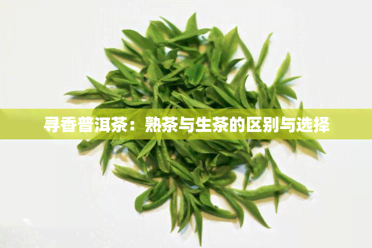 寻香普洱茶：熟茶与生茶的区别与选择