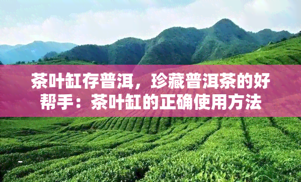 茶叶缸存普洱，珍藏普洱茶的好帮手：茶叶缸的正确使用方法