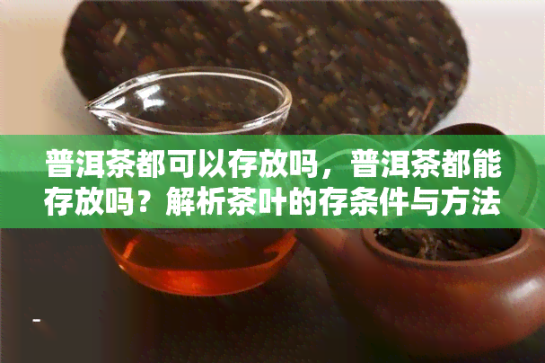 普洱茶都可以存放吗，普洱茶都能存放吗？解析茶叶的存条件与方法