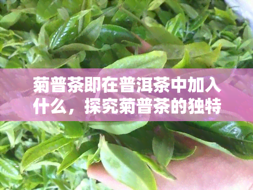 菊普茶即在普洱茶中加入什么，探究菊普茶的独特口感：普洱茶中加入了什么？