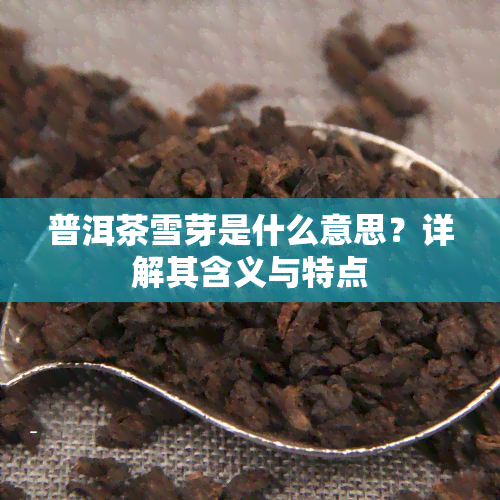 普洱茶雪芽是什么意思？详解其含义与特点