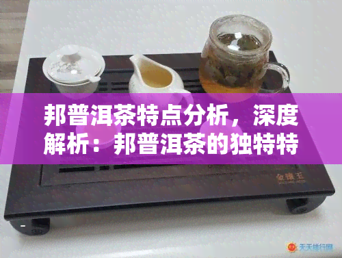 邦普洱茶特点分析，深度解析：邦普洱茶的独特特点与魅力