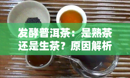 发酵普洱茶：是熟茶还是生茶？原因解析