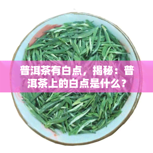 普洱茶有白点，揭秘：普洱茶上的白点是什么？