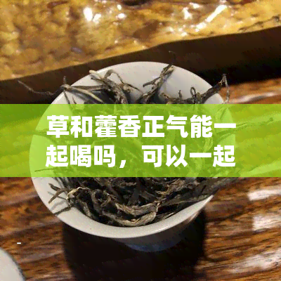 草和藿香正气能一起喝吗，可以一起喝吗？探讨草与藿香正气的搭配效果