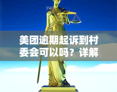 美团逾期起诉到村委会可以吗？详解法律程序与后果