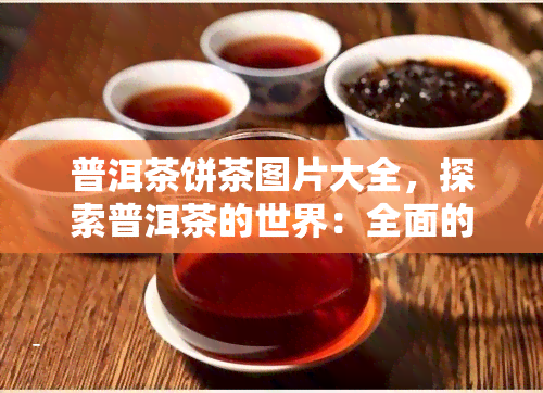 普洱茶饼茶图片大全，探索普洱茶的世界：全面的饼茶图片大全