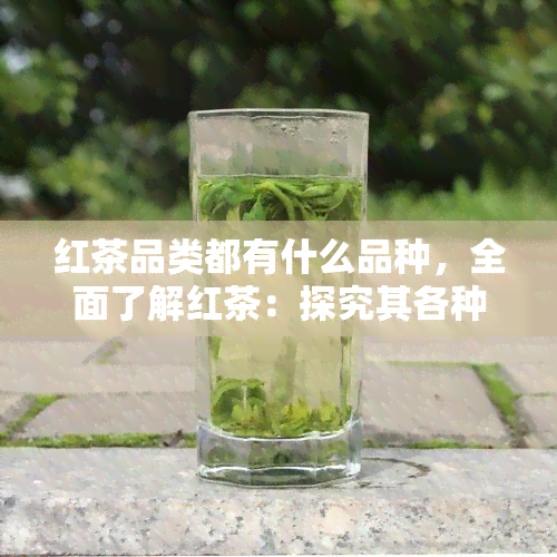 红茶品类都有什么品种，全面了解红茶：探究其各种品种