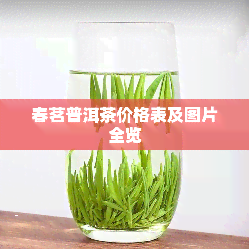 春茗普洱茶价格表及图片全览