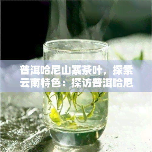 普洱哈尼山寨茶叶，探索云南特色：探访普洱哈尼山寨茶叶