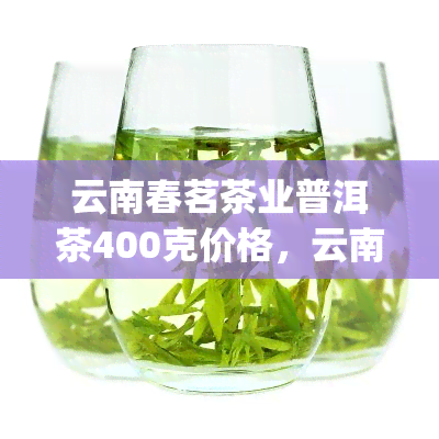 云南春茗茶业普洱茶400克价格，云南春茗茶业 | 400克普洱茶现价多少？