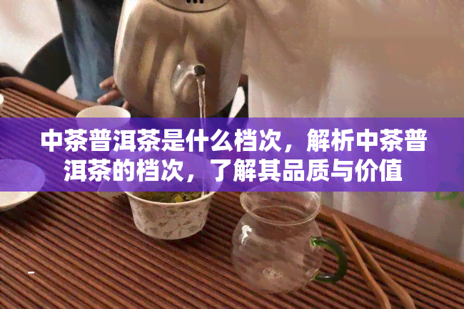 中茶普洱茶是什么档次，解析中茶普洱茶的档次，了解其品质与价值