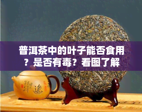 普洱茶中的叶子能否食用？是否有？看图了解