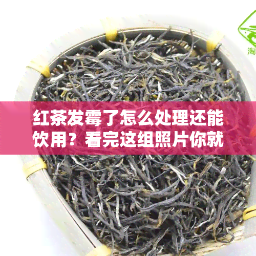 红茶发霉了怎么处理还能饮用？看完这组照片你就明白了！