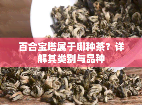 百合宝塔属于哪种茶？详解其类别与品种