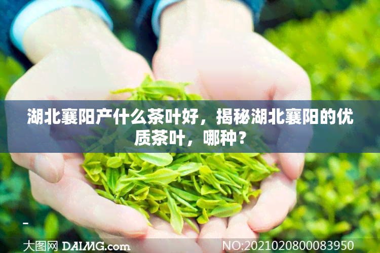 湖北襄阳产什么茶叶好，揭秘湖北襄阳的优质茶叶，哪种？