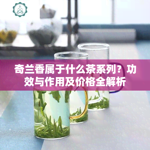 奇兰香属于什么茶系列？功效与作用及价格全解析