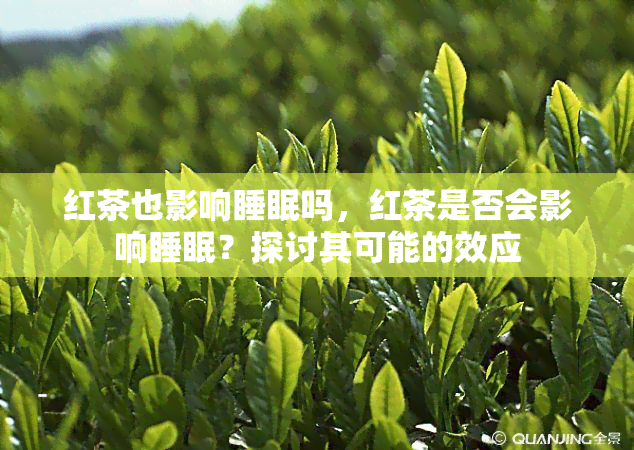 红茶也影响睡眠吗，红茶是否会影响睡眠？探讨其可能的效应