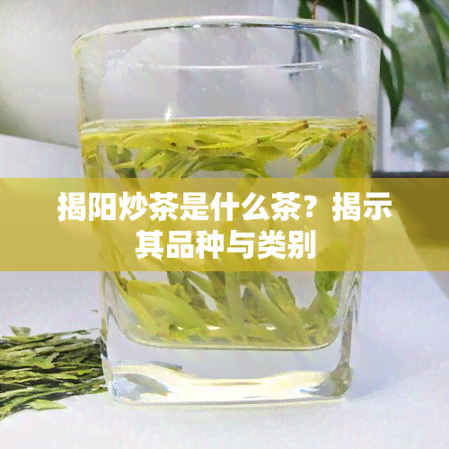 揭阳炒茶是什么茶？揭示其品种与类别