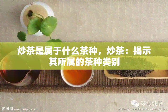 炒茶是属于什么茶种，炒茶：揭示其所属的茶种类别