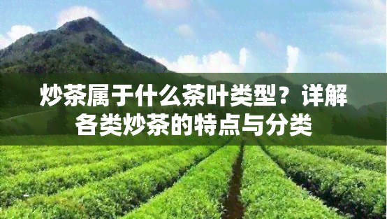 炒茶属于什么茶叶类型？详解各类炒茶的特点与分类