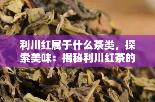 利川红属于什么茶类，探索美味：揭秘利川红茶的茶类归属