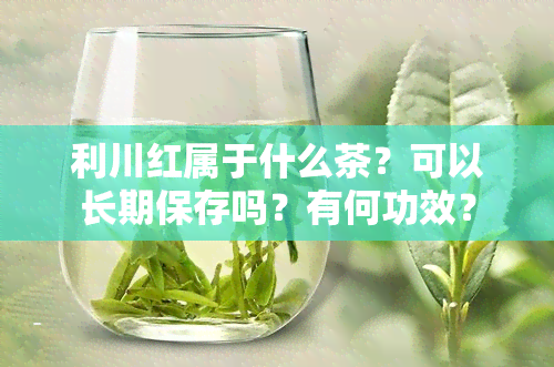 利川红属于什么茶？可以长期保存吗？有何功效？