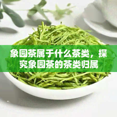 象园茶属于什么茶类，探究象园茶的茶类归属