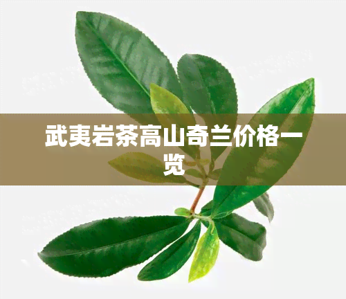 武夷岩茶高山奇兰价格一览